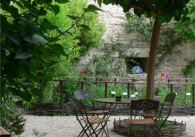 Uzès medieval garden and his towers