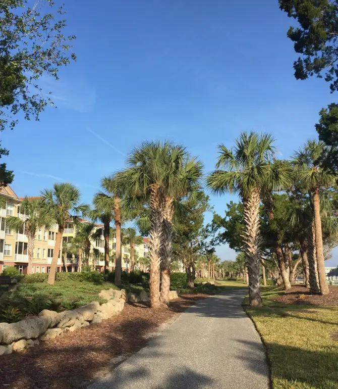 Palm Coast