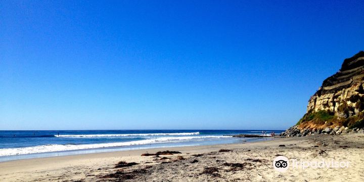 Swami's Beach