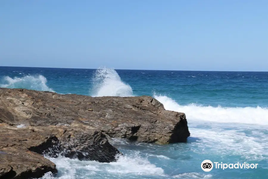 Snapper Rocks