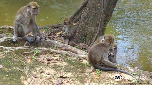 Tasek Lama Recreational Park