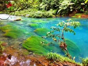 Rio Celeste y Los Teñideros