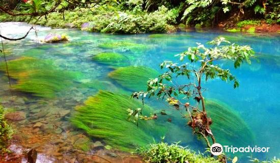 Rio Celeste y Los Teñideros