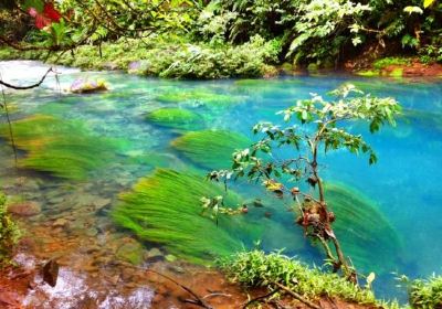 Rio Celeste y Los Teñideros