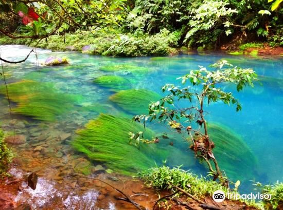 Rio Celeste y Los Teñideros