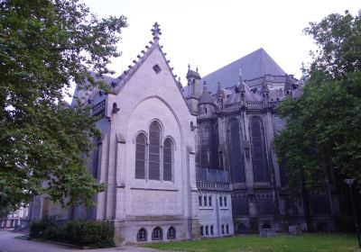 La basilique-cathédrale Notre-Dame-de-la-Treille de Lille