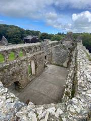 St Davids Bishop's Palace