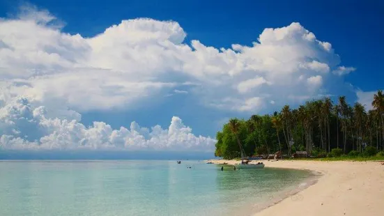 Borneo Speedy Dive