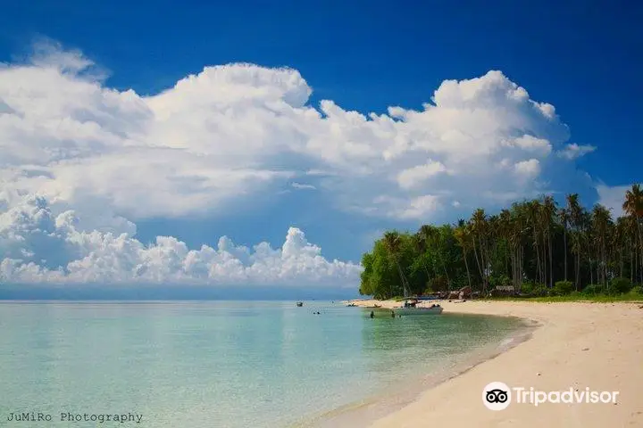 Borneo Speedy Dive