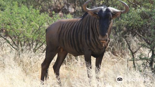 Mokala National Park