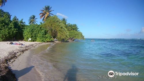 Plage de Bois Jolan