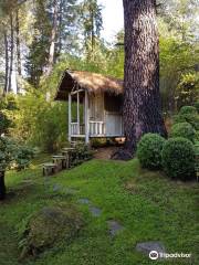 Jardin Arboretum Bonsai