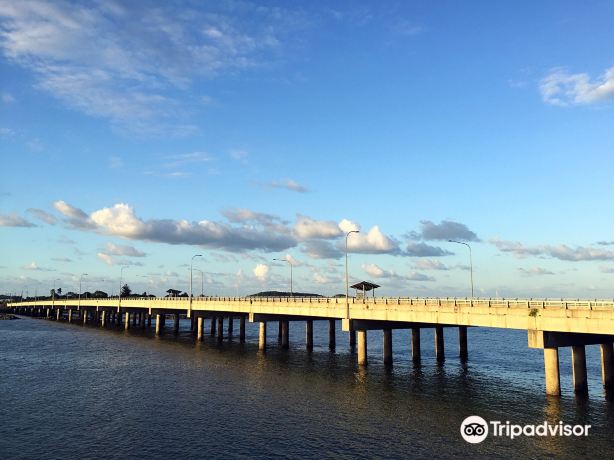 Pioneer River