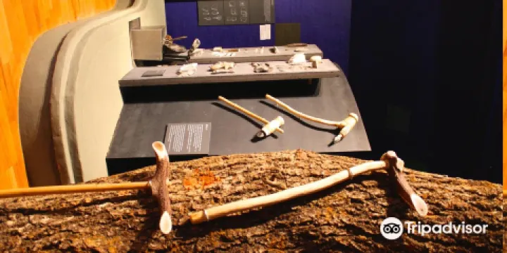 Stenaldercenter Ertebolle