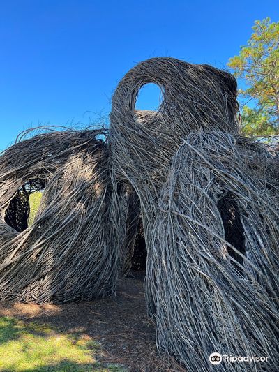Sandhills Horticultural Gardens