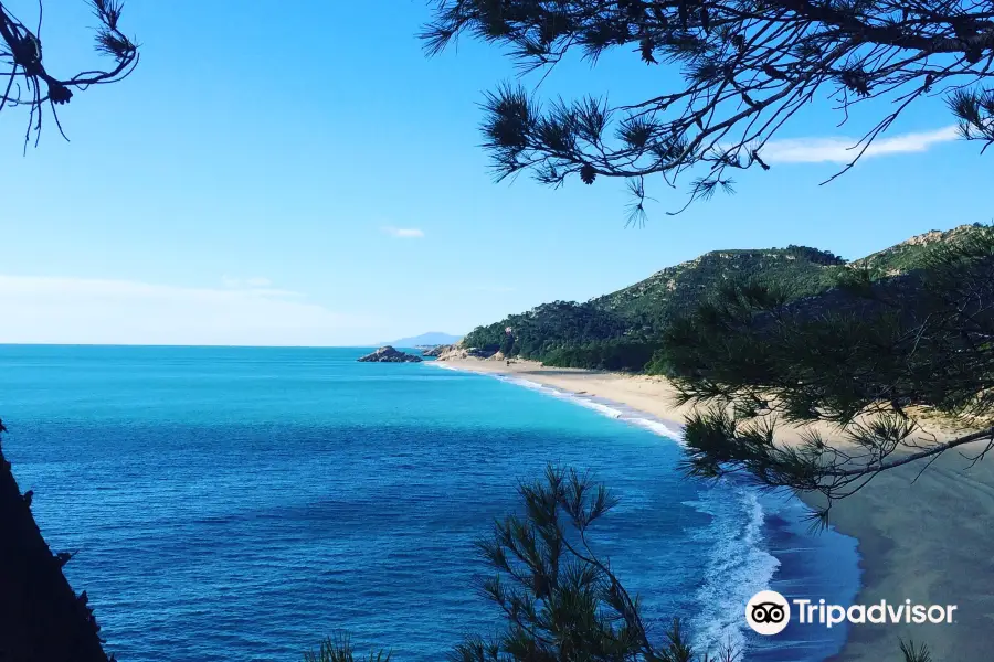 Playa El Torn Naturist Beach