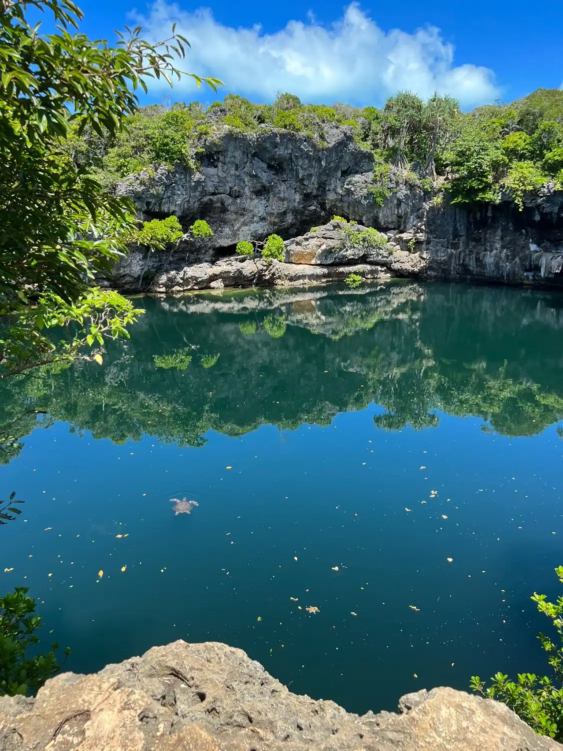 Hotels near Trou aux Tortues