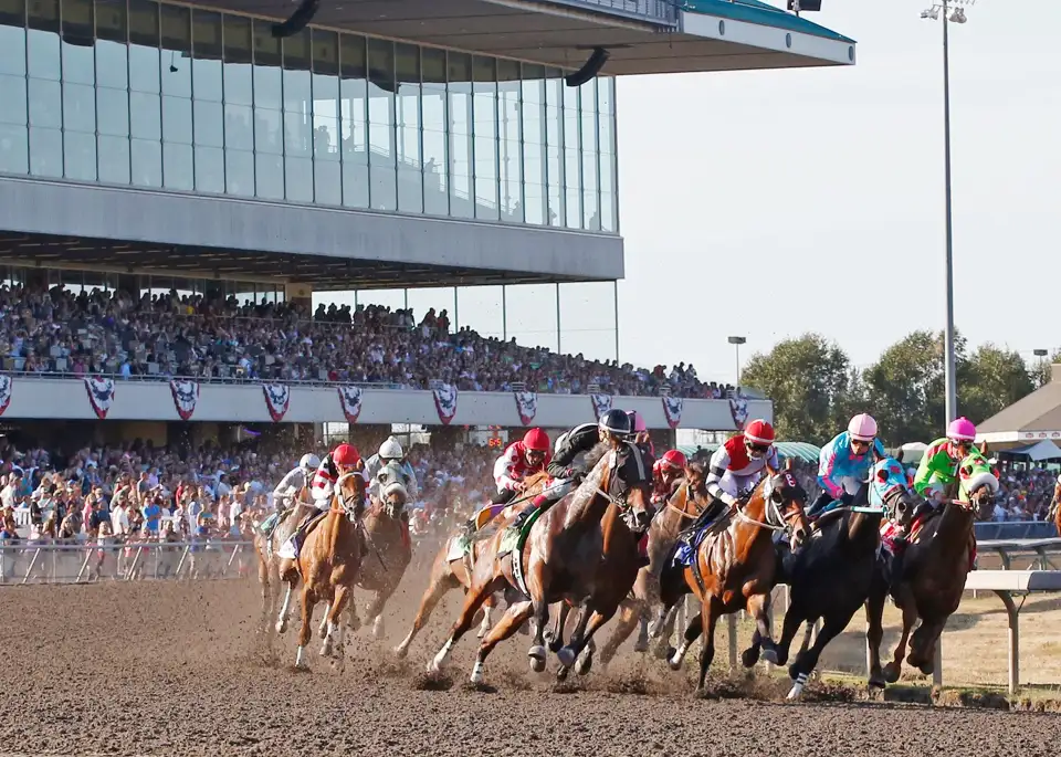 2_Emerald Downs