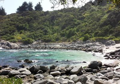 Isla Los Pinguinos Cachagua