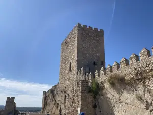 Castillo de Almansa.
