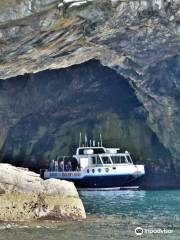 Seabirds and Seals Noss Boat Tours