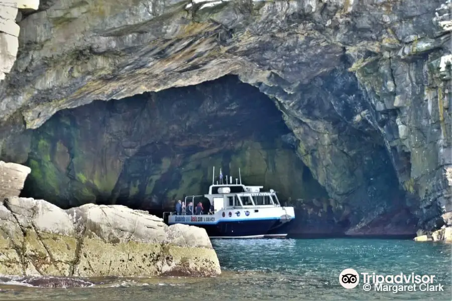 Seabirds and Seals Noss Boat Tours