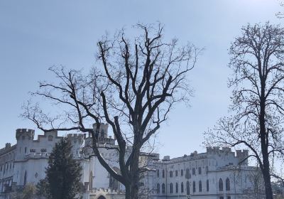 Rusovský park