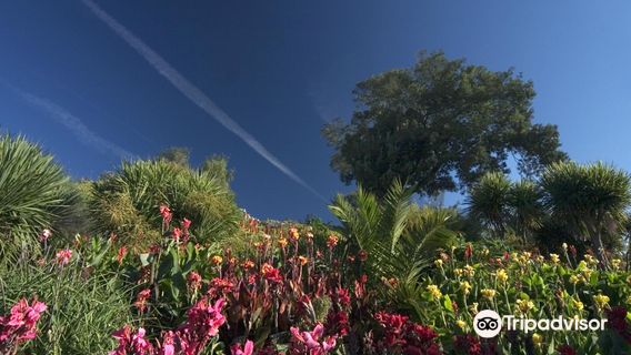 Ventnor Botanic Garden