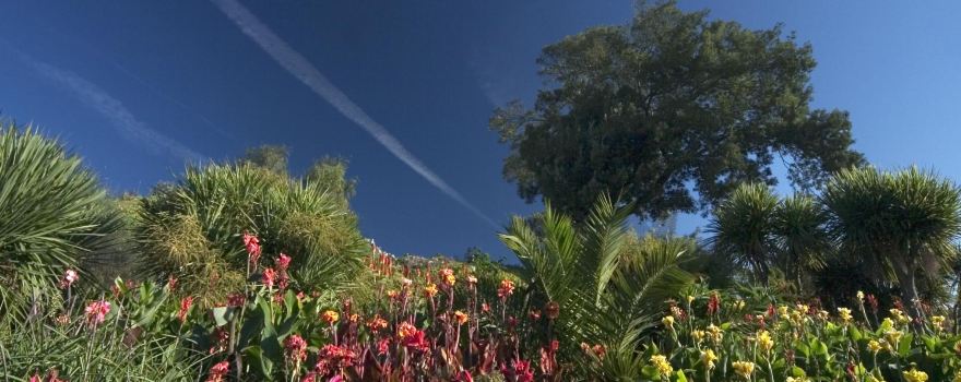 Ventnor Botanic Garden