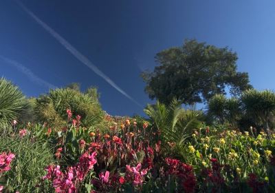 Ventnor Botanic Garden