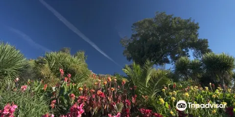 Ventnor Botanic Garden