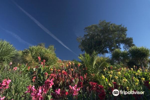 Ventnor Botanic Garden