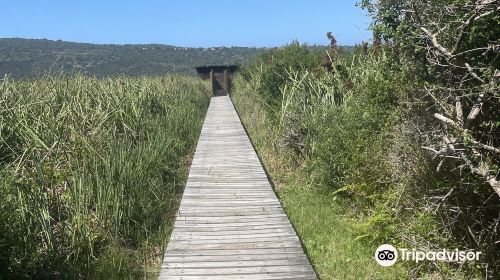 Garden Route National Park - Wilderness Section