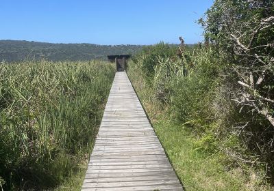 Garden Route National Park - Wilderness Section