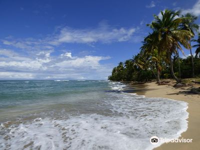 Playa Esmeralda