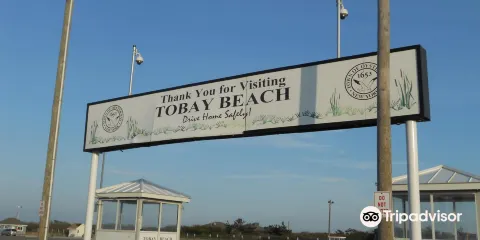 Tobay Beach