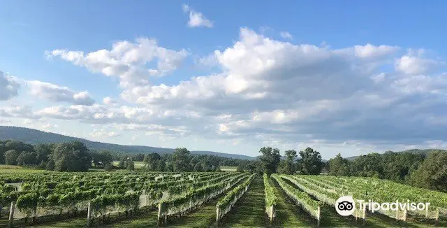 Breaux Vineyards