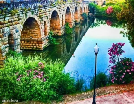 Roman Bridge