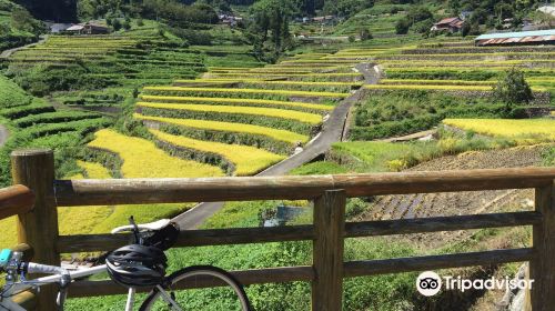 Ini Rice Terraces