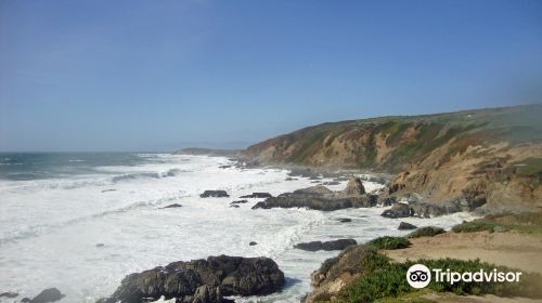 Sonoma Coast State Beach