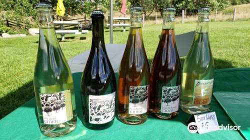 Beaver Valley Orchard And Cidery