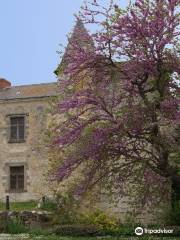 Château - Maison du Patrimoine