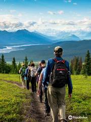 Alaska Nature Guides