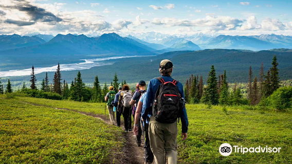 Alaska Nature Guides