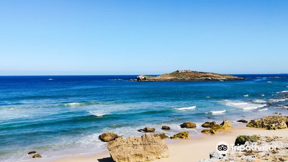Ilha do Pessegueiro