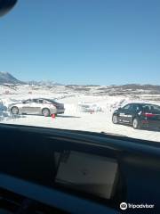 Bridgestone Winter Driving School