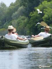 Kayak Safaris BG