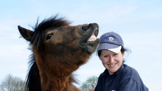 World Horse Welfare Hall Farm