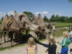 Munkholm Zoo