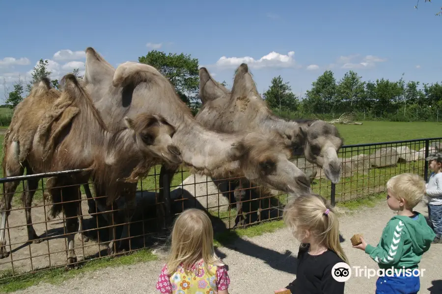 Munkholm Zoo